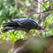 Lake Manyara NP